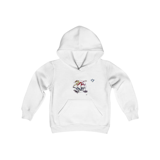 Sweatshirt à capuche enfant Dragons miroir