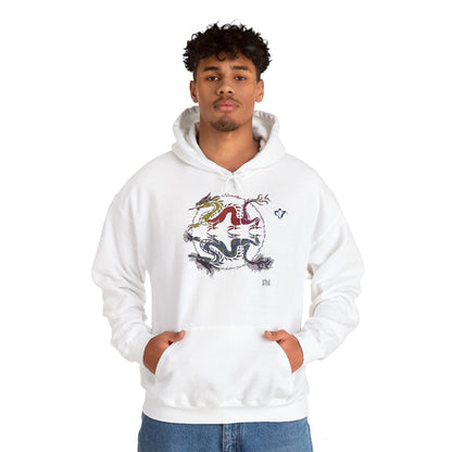 Sweatshirt à capuche adulte mixte Dragons miroir